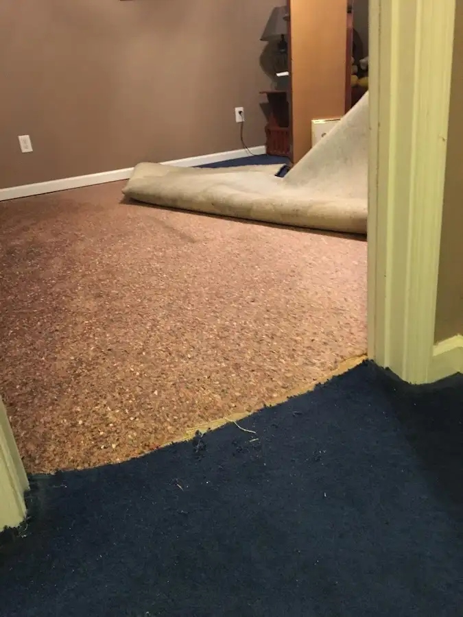 Carpet pad removal revealing water damage during Water Mitigation Services in Stafford