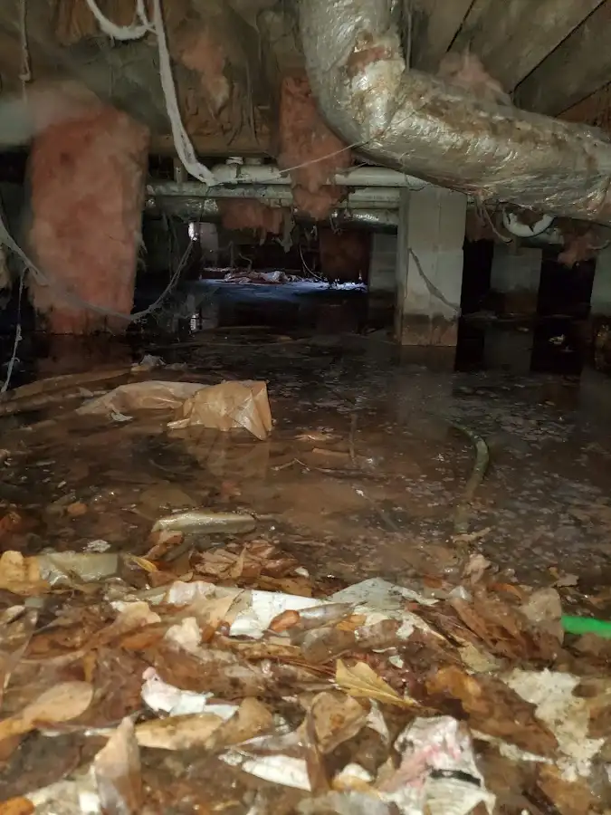 Crawl space flood assessment for Commercial Water Damage Restoration in Stafford