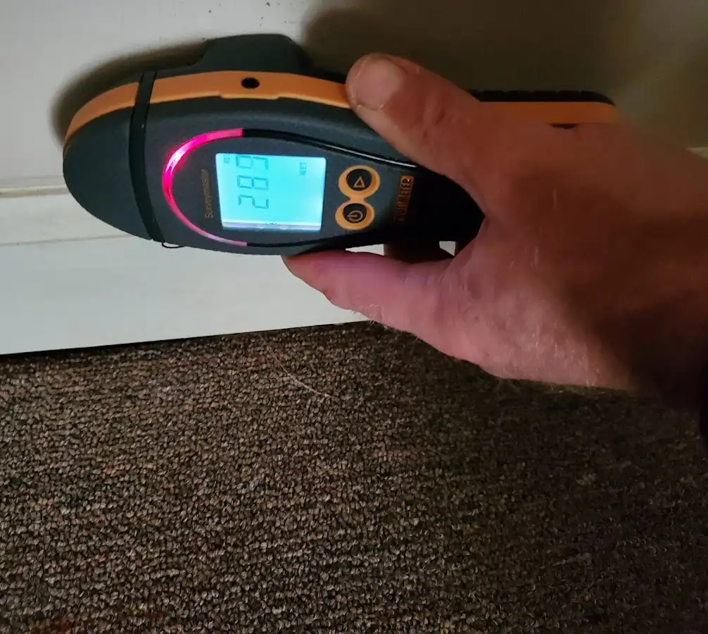 Moisture detection at baseboard during Mold Inspection & Testing in Stafford